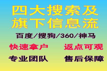 网络推广与竞价广告：双管齐下的策略案例